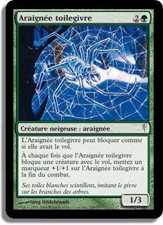 Araignée toilegivre - Souffle Glaciaire