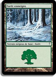 Forêt enneigée - Souffle Glaciaire