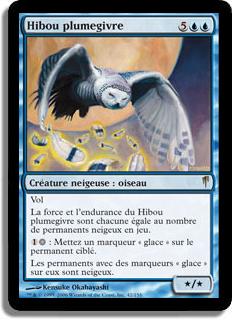 Hibou plumegivre - Souffle Glaciaire