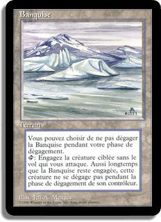 Banquise - Ère Glaciaire