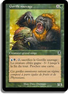 Gorille sauvage - Apocalypse