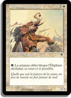 Éléphant déchaîné - Invasion