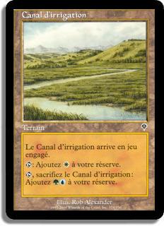 Canal d'irrigation - Invasion