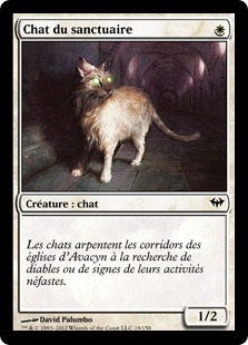 Chat du sanctuaire - Obscure ascension