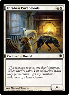 Chiens pur-sang de Thraben - Innistrad