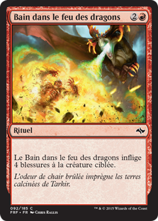 Bain dans le feu des dragons - Destin reforgé