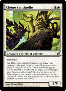 Chêne sentinelle - Lorwyn