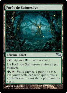 Forêt de Suintesève - Sombrelande