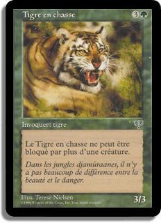 Tigre en chasse - Mirage