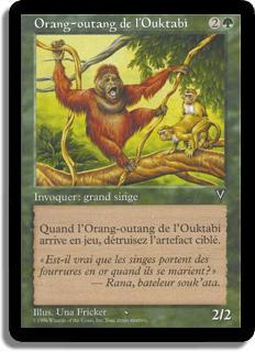 Orang-outang de l'Ouktabi - Visions