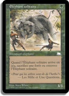 Éléphant solitaire - Aquilon