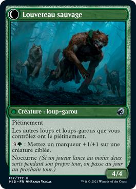 Louveteau sauvage - Innistrad : Chasse de Minuit