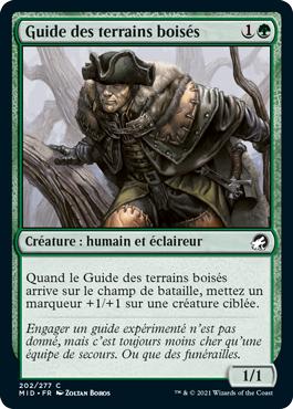 Guide des terrains boisés - Innistrad : Chasse de Minuit