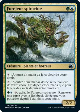 Fureteur spiracine - Innistrad : Chasse de Minuit