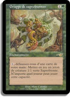 Grappe de saprobiontes - Némésis