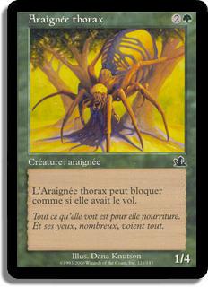 Araignée thorax - Prophétie