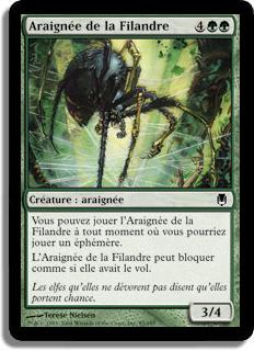 Araignée de la Filandre - Sombracier