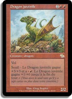 Dragon juvénile - Jugement