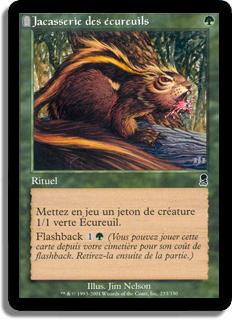 Jacasserie des écureuils - Odyssée