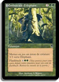 Embuscade d'éléphant - Odyssée