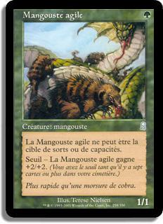 Mangouste agile - Odyssée