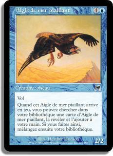 Aigle de mer piaillant - Carnage