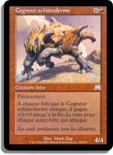 Cogneur schistederme - Carnage