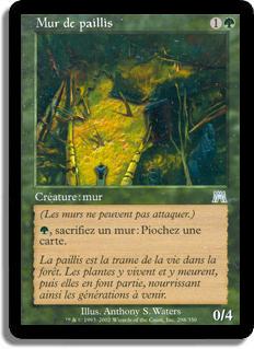 Mur de paillis - Carnage