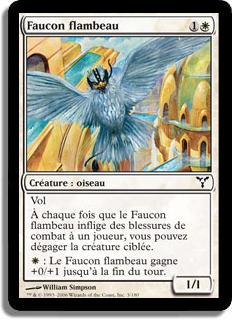 Faucon flambeau - Discorde
