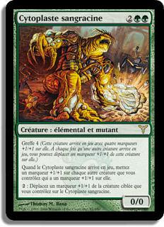 Cytoplaste sangracine - Discorde