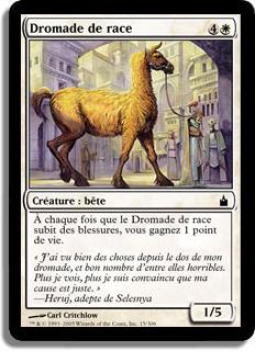 Dromade de race - Ravnica: La Cité des Guildes