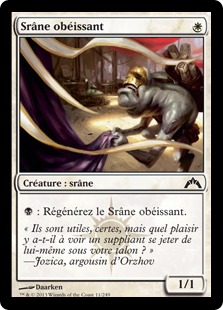 Srâne obéissant - Insurrection