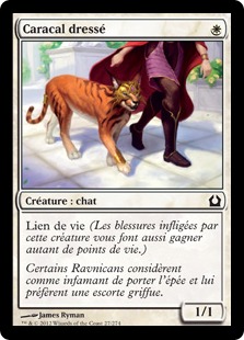 Caracal dressé - Retour sur Ravnica