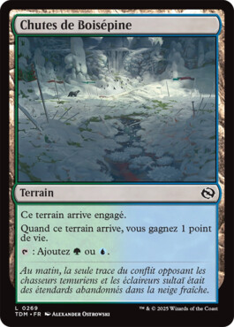 Chutes de Boisépine - Tarkir : la tempête des dragons