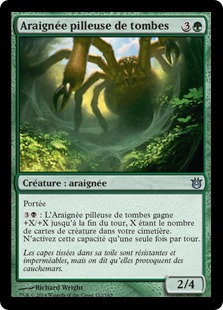 Araignée pilleuse de tombes - Créations Divines