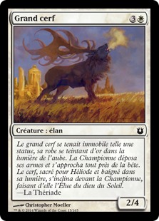 Grand cerf - Créations Divines
