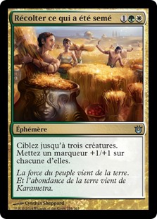 Récolter ce qui a été semé - Créations Divines