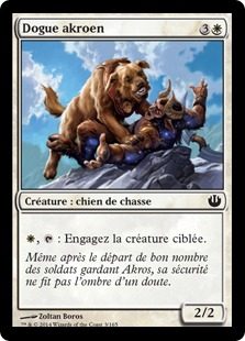 Dogue akroen - Incursion dans Nyx