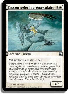 Faucon pèlerin crépusculaire - Spirale Temporelle