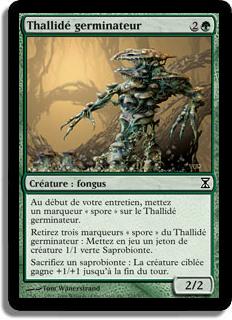 Thallidé germinateur - Spirale Temporelle