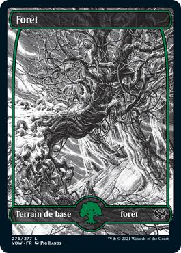 Forêt - Innistrad : noce écarlate