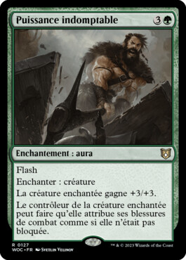 Puissance indomptable - Les friches d'Eldraine Commander