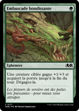 Embuscade bondissante - Les friches d'Eldraine