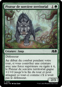 Pisteur de sorcière territorial - Les friches d'Eldraine