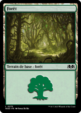 Forêt - Les friches d'Eldraine