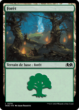 Forêt - Les friches d'Eldraine