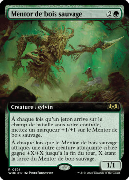 Mentor de bois sauvage - Les friches d'Eldraine