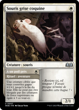 Souris grise coquine - Les friches d'Eldraine