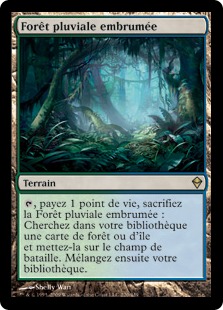 Forêt pluviale embrumée - Zendikar