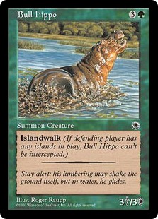 Hippopotame mâle - Portal